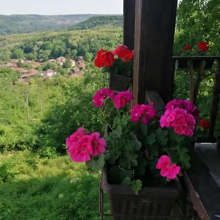 Country House Pivnica Milic Apartment Rogljevo